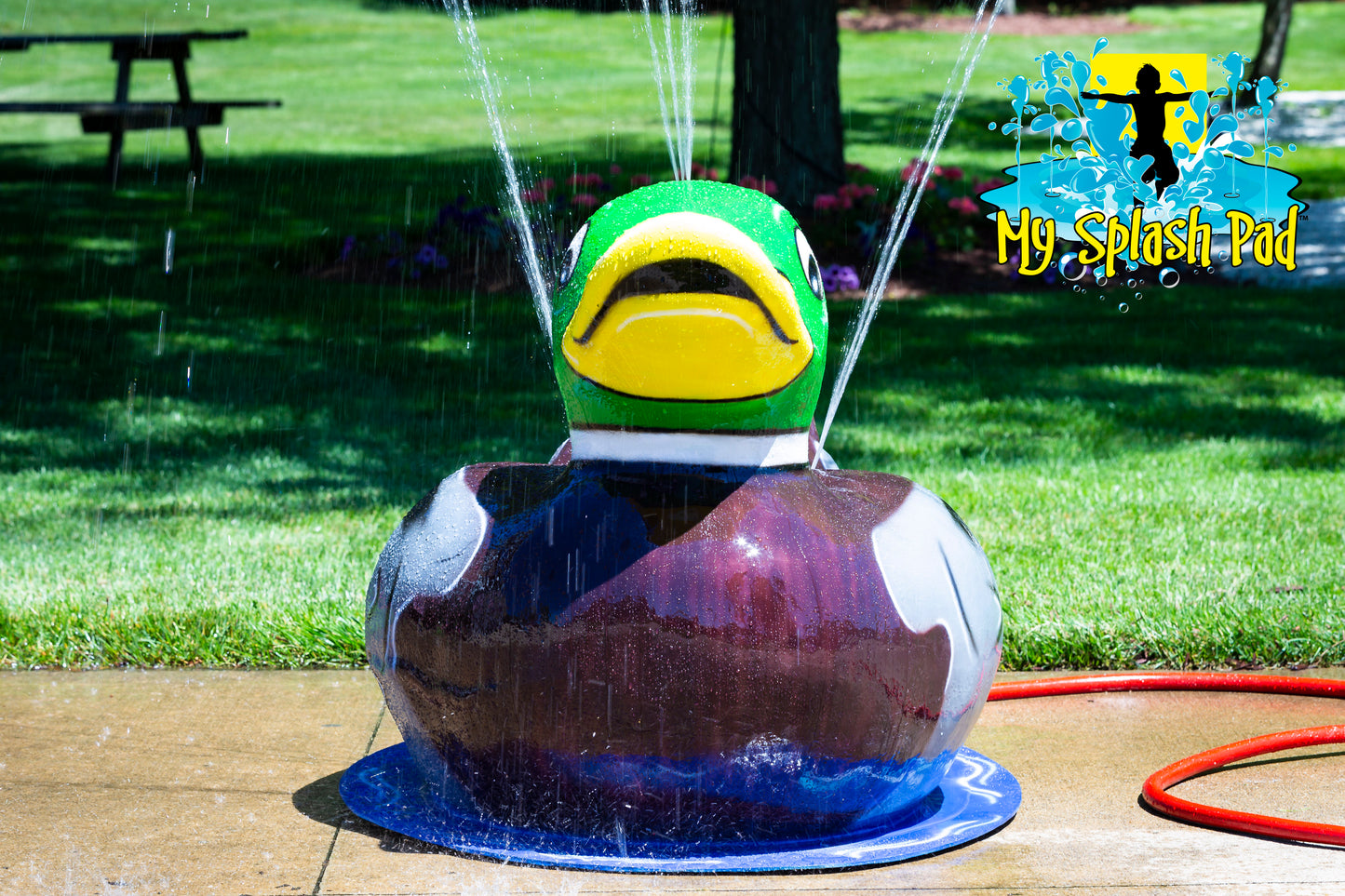 Duck Mobile Spray and Play Features – mallard duck splash pad water play equipment spraying streams of water outdoors.
