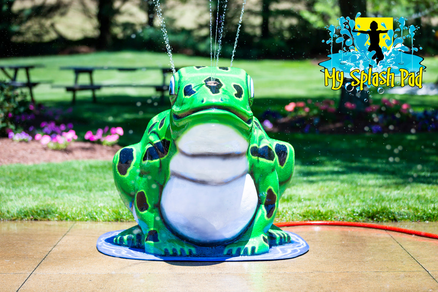 Frog Water Spray Splash Pad – green frog play feature spraying water for kids’ backyard fun.
