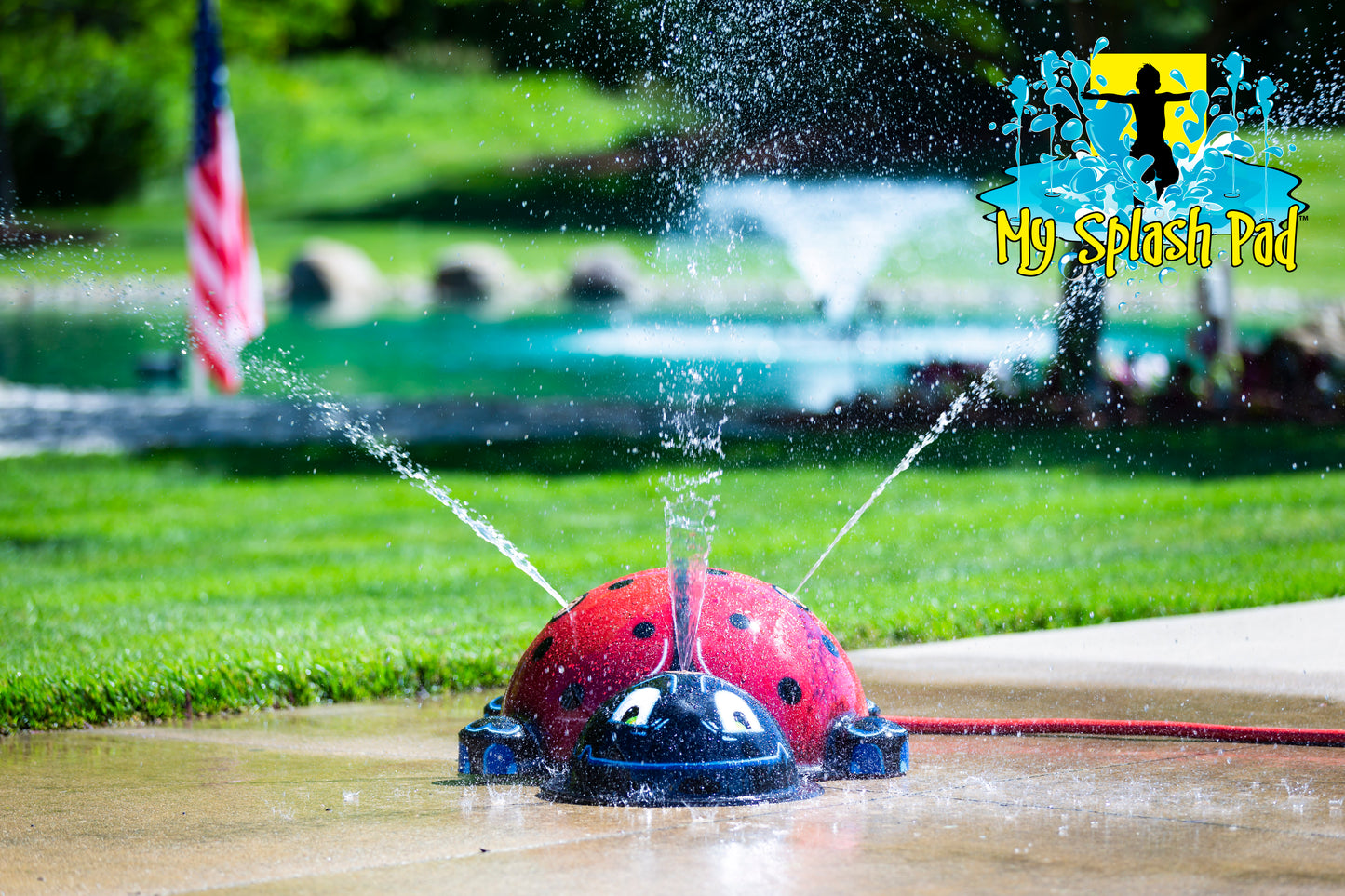 Small Ladybug Splash Pad backyard water play feature spraying streams of water for kids’ outdoor fun.