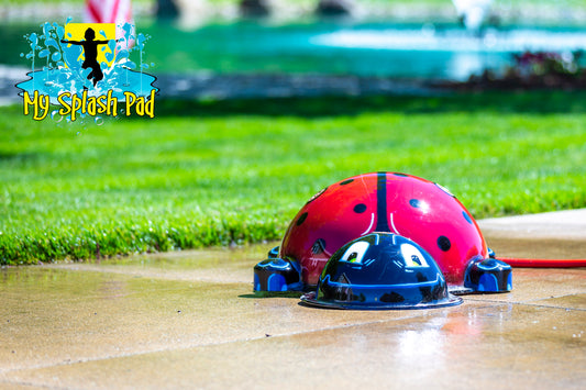 Small Ladybug Splash Pad water play feature with red and black spotted shell spraying water for kids’ outdoor fun.