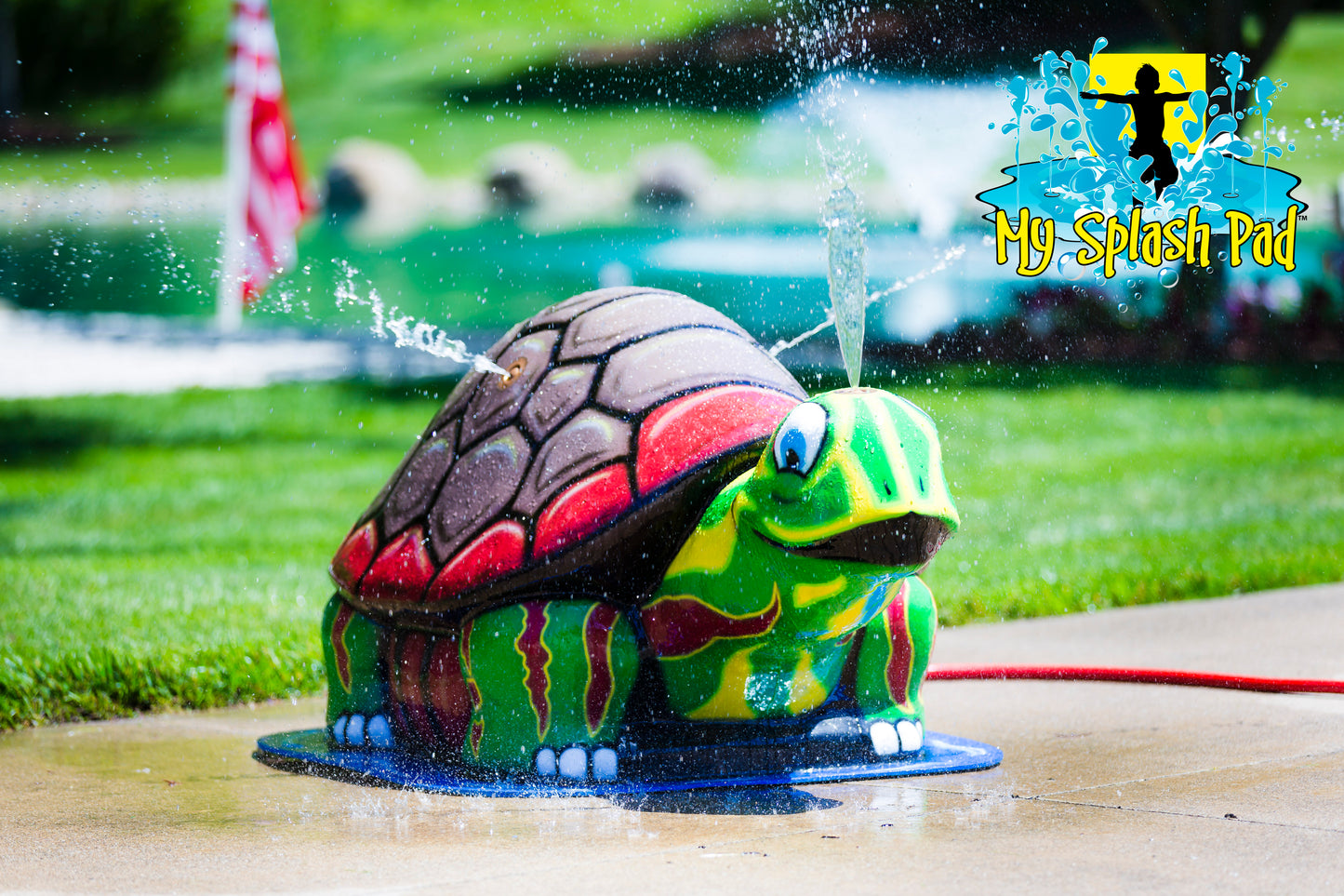 Large Turtle Mobile Spray and Play Features