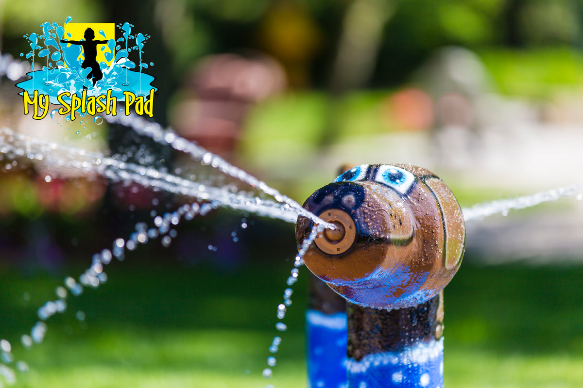 Standing Dog Water Play Features by My portable splash pad. Close-up of dog head.
