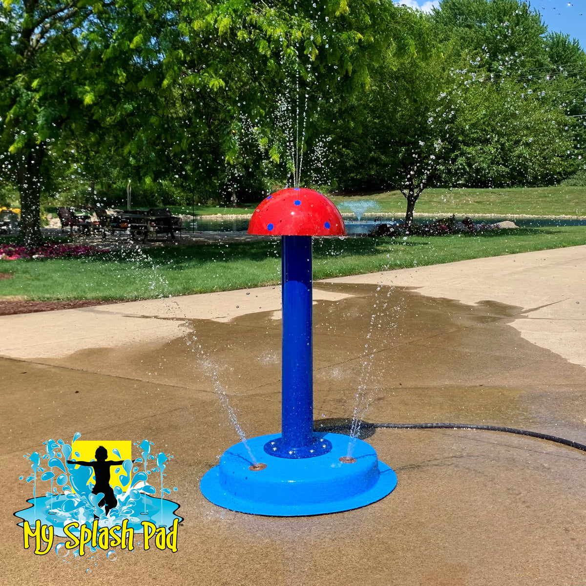 A portable splash pad featuring a red mushroom-shaped water spout with a blue base, installed on a sidewalk in a park with water spraying from it.