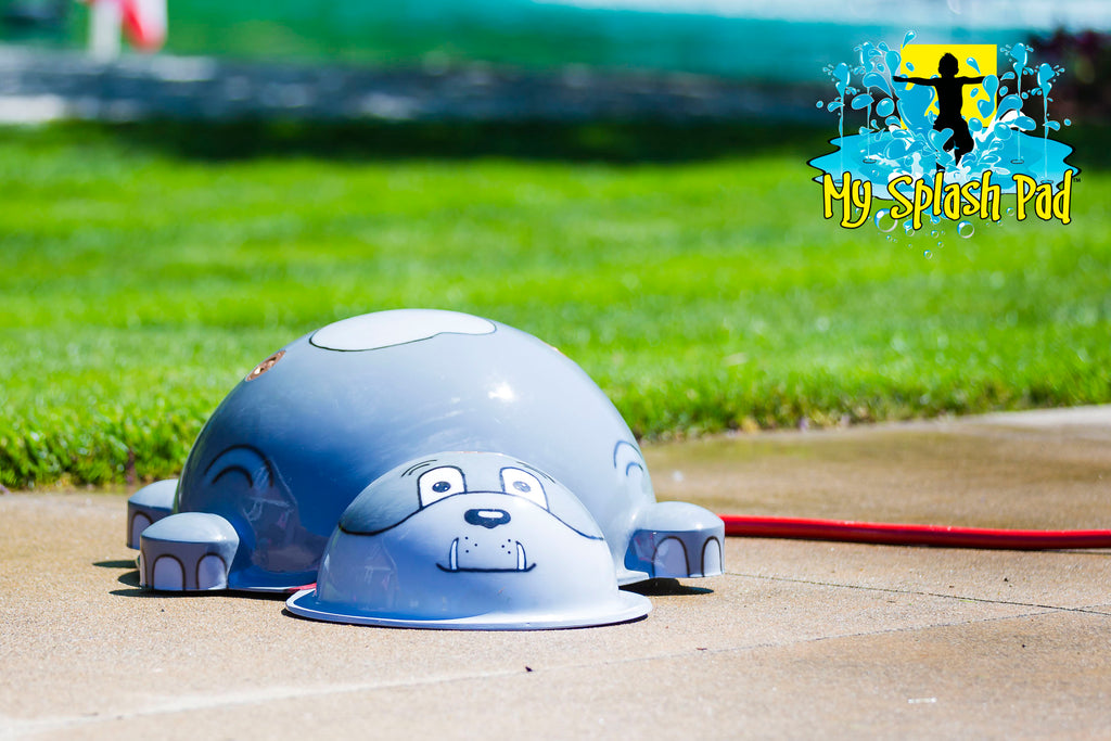 Small Spike Dog Water Play Features by My portable splash pad.